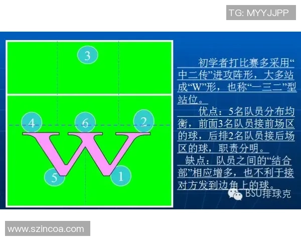 武汉排球队整体压制打法深度分析与战术解析